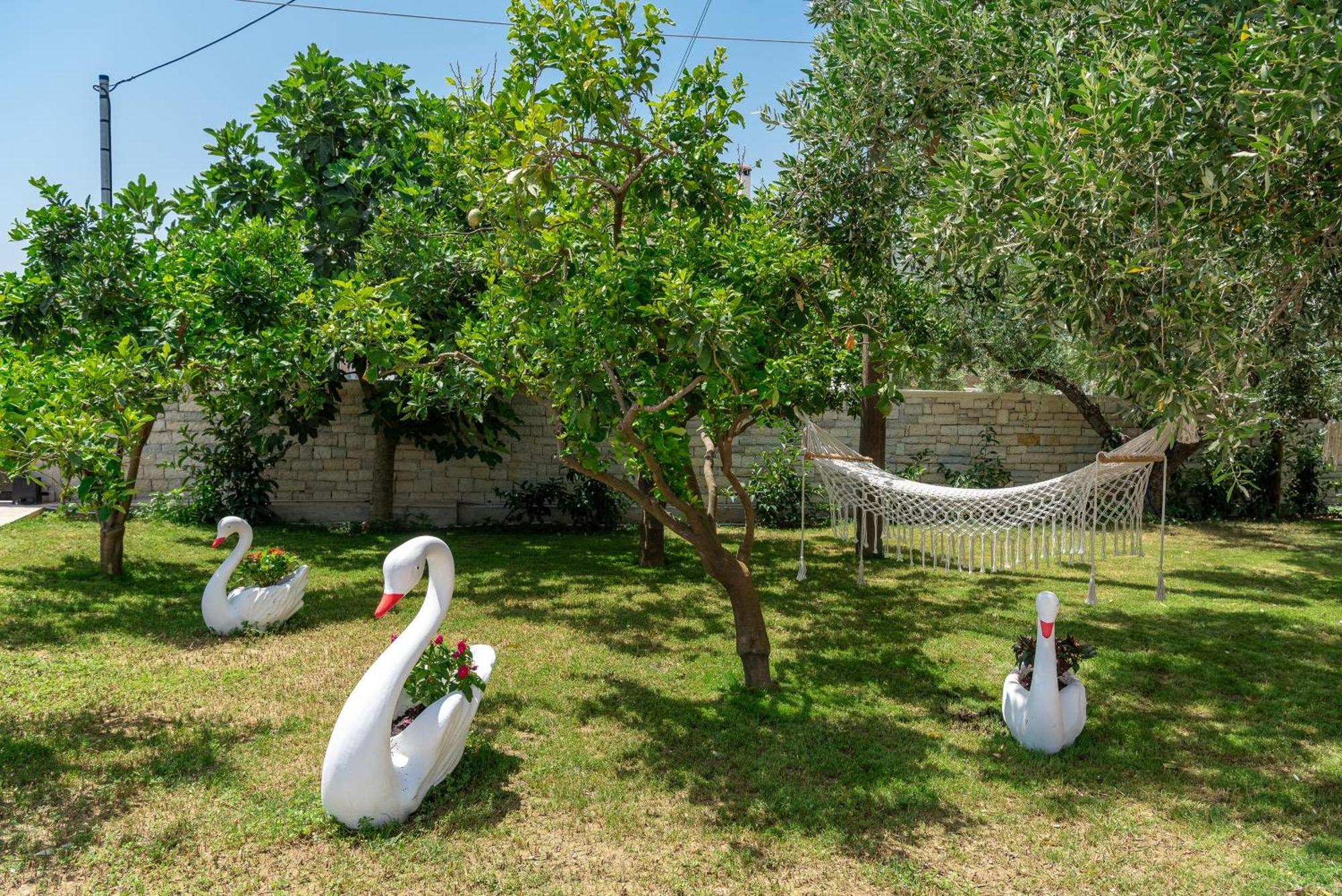 Dovolenkový dom Loula's Alykes (Zakynthos)